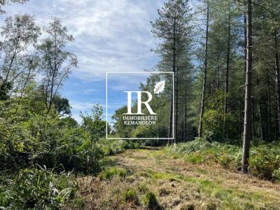 Acheter Prestige 377 m2 Lamotte-beuvron