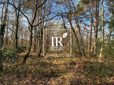 Acheter Prestige Lamotte-beuvron Loir et cher