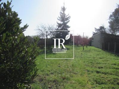 Acheter Maison 82 m2 Selles-saint-denis
