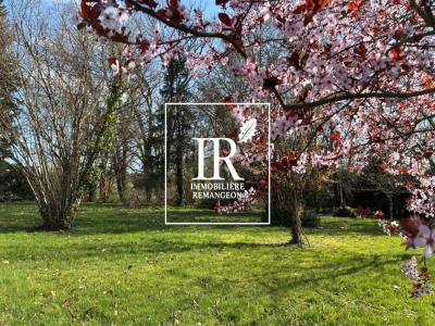 Annonce Vente 10 pi�ces Maison Nouan-le-fuzelier 41