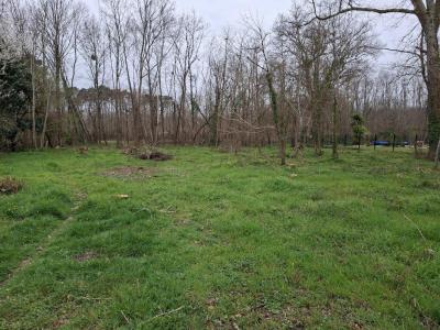 Annonce Vente Terrain Saint-selve 33