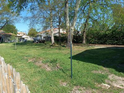 Annonce Vente 5 pi�ces Maison Gujan-mestras 33