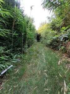 For sale Vicq 4 rooms 72 m2 Nord (59970) photo 3