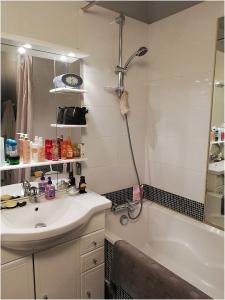 Louer Appartement Toulouse 1035 euros