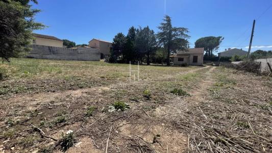 Annonce Vente Terrain Fontvieille 13