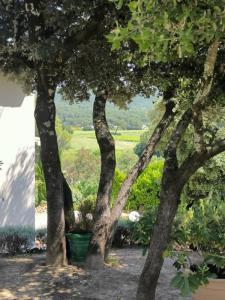 Acheter Maison 197 m2 Bagnols-sur-ceze