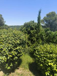 Acheter Maison Bagnols-sur-ceze Gard