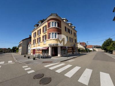 Annonce Vente Immeuble Chaumont 52