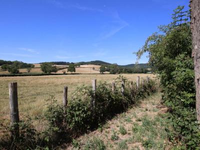 Annonce Vente Maison Barnay 71