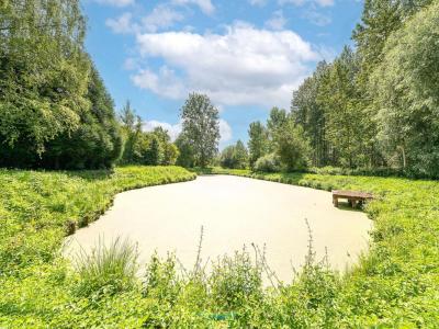 For sale Millonfosse 1 room 3386 m2 Nord (59178) photo 1