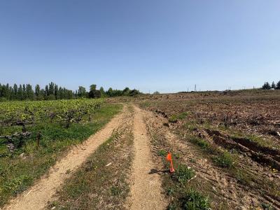 Annonce Vente Terrain  30