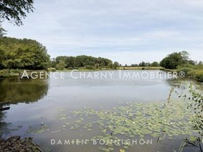 Annonce Vente Terrain Saint-fargeau 89