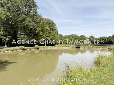 Acheter Terrain Saint-fargeau Yonne
