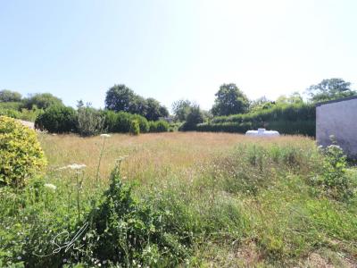 Annonce Vente 5 pi�ces Maison Plougasnou 29