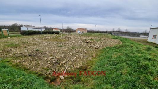 Annonce Vente Terrain Chateau-guibert 85