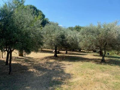 For sale Sainte-anastasie 1640 m2 Gard (30190) photo 0
