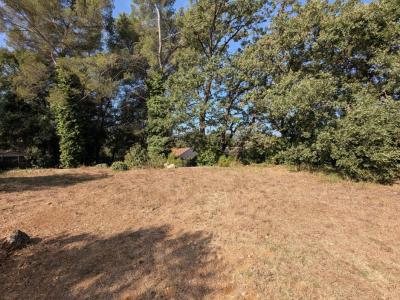 Annonce Location 5 pi�ces Maison Draguignan 83
