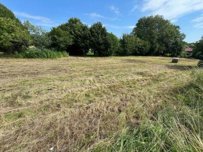 Acheter Terrain 13100 m2 Escarmain