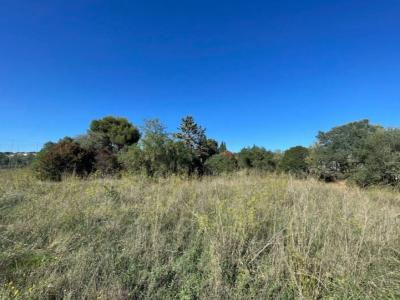 For sale Saint-victor-la-coste 430 m2 Gard (30290) photo 0