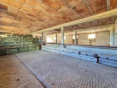 Acheter Maison Avord 300000 euros