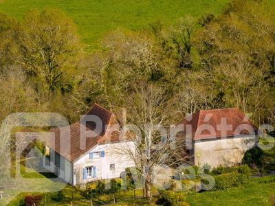 Annonce Vente 6 pi�ces Maison Orthez 64