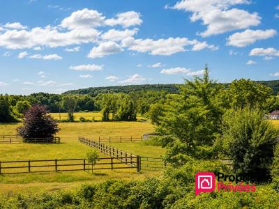 Annonce Vente 9 pi�ces Maison Bellou-sur-huisne 61