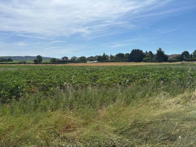 For sale Cheyssieu 400 m2 Isere (38550) photo 0