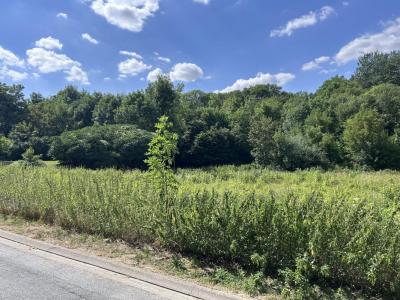 For sale Gueux 1038 m2 Marne (51390) photo 0