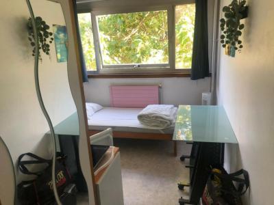 For rent Villeneuve-d'ascq 1 room 11 m2 Nord (59491) photo 0