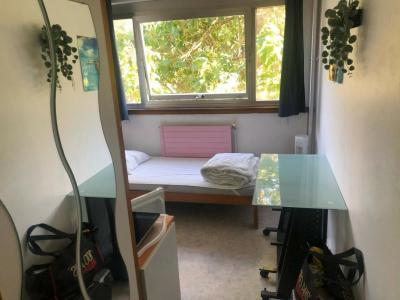 For rent Villeneuve-d'ascq 1 room 11 m2 Nord (59491) photo 2