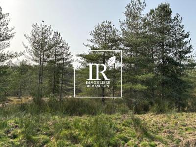 Annonce Vente Prestige Lamotte-beuvron 41