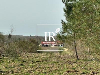 Acheter Prestige Lamotte-beuvron Loir et cher