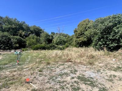 Acheter Terrain 760 m2 Baix