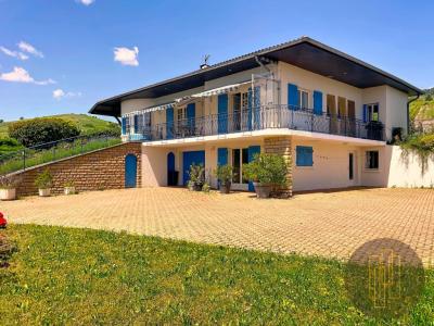 Annonce Vente 7 pi�ces Maison Perreon 69