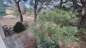 Vente Maison Felines-minervois  3 pieces 74 m2
