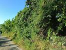 For sale Land Sainte-rose 500 m2