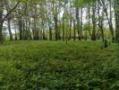 Vente Terrain Faouet 2174 m2