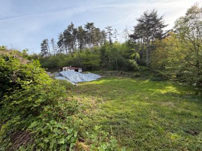 Annonce Vente Terrain Creusot 71
