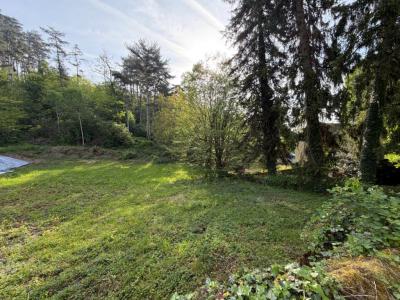 Acheter Terrain Creusot