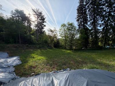 Acheter Terrain Creusot Saone et loire