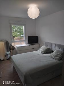Louer Appartement Saint-julien-les-metz Moselle