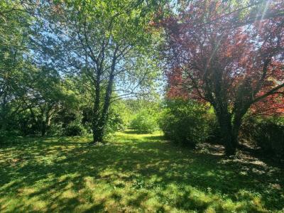 For sale Cattenieres 6 rooms 108 m2 Nord (59217) photo 1