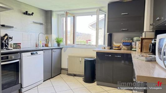 Acheter Maison Ban-de-laveline Vosges