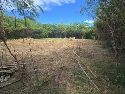 For sale Vauclin 1299 m2 Martinique (97280) photo 0