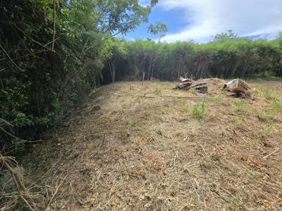 Acheter Terrain Vauclin Martinique