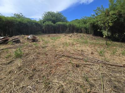 Acheter Terrain Vauclin 180000 euros