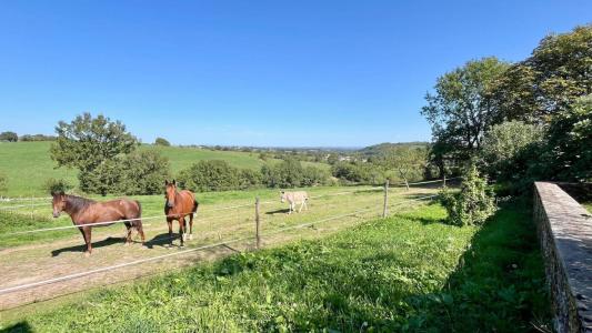 For sale Montirat 6 rooms 240 m2 Tarn (81190) photo 0