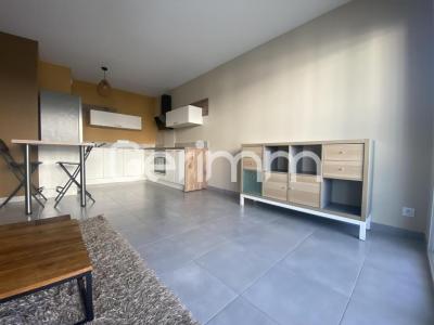 Annonce Location 2 pi�ces Appartement Grenoble 38