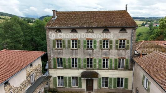 Annonce Vente Prestige Saint-cyr-de-valorges 42