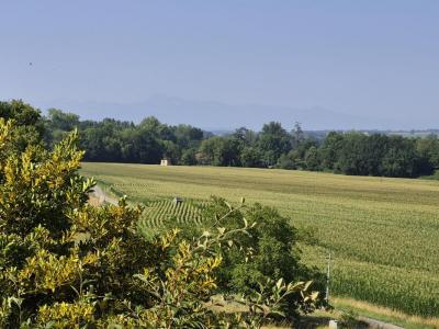 Annonce Vente 7 pi�ces Maison Ponsan-soubiran 32
